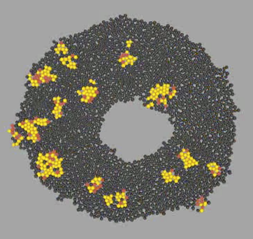 Yeast colony growth and tracking preview